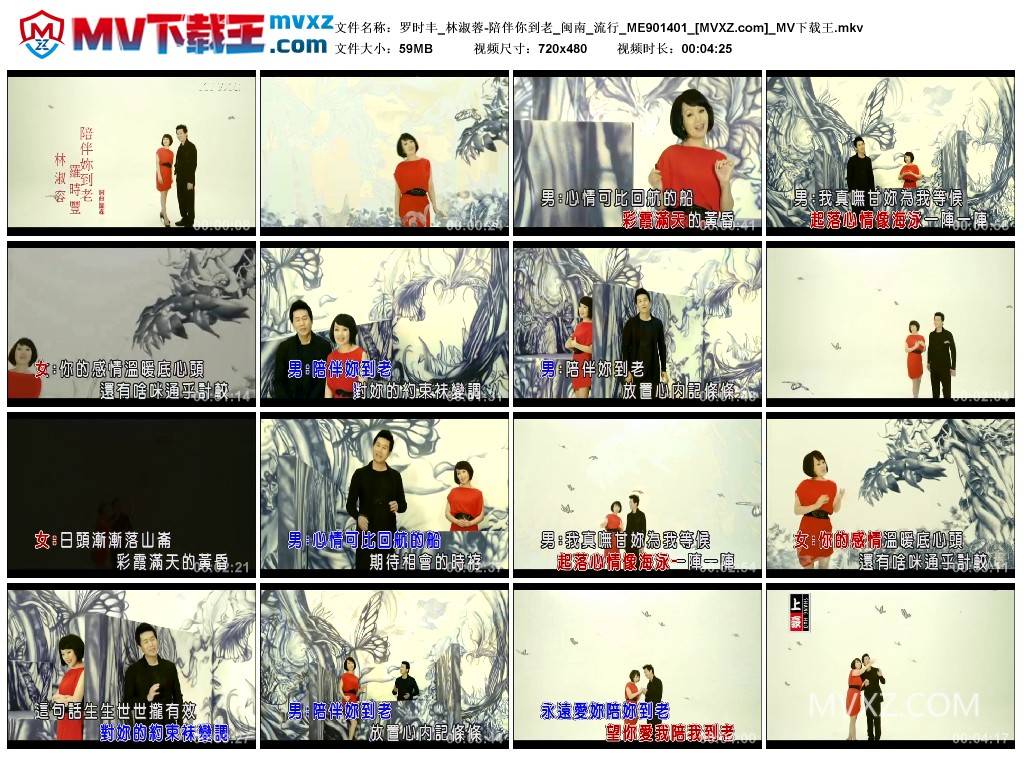 罗时丰_林淑蓉-陪伴你到老_闽南_流行_ME901401